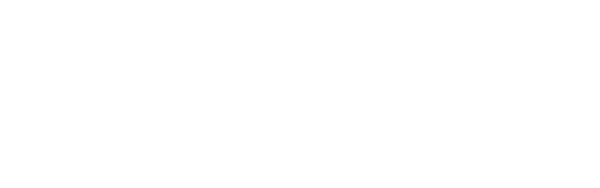 IDESAA Powerful Solutions for Development Talent